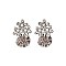 Trendy Round Stone with Cluster Stud Earrings SLEQ63