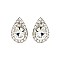 POSH CRYSTAL STONE TEARDROP EARRING SLERK0108