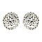 Fashionable Round Stone Cluster Stud Earrings SLERK0109