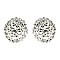 Fashionable Round Stone Cluster Stud Earrings SLERK0109