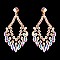 Glamour Rhinestone Drop Earrings SLERY8953