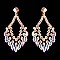 Glamour Rhinestone Drop Earrings SLERY8953