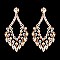 Glamour Rhinestone Drop Earrings SLERY8953
