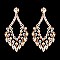 Glamour Rhinestone Drop Earrings SLERY8953