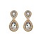 Fashionable Dangly Teardrop with Stone Edge Earrings SLEY2560