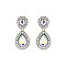 Fashionable Dangly Teardrop with Stone Edge Earrings SLEY2560