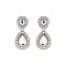 Fashionable Dangly Teardrop with Stone Edge Earrings SLEY2560