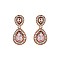 Fashionable Dangly Teardrop with Stone Edge Earrings SLEY2560