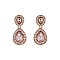 Fashionable Dangly Teardrop with Stone Edge Earrings SLEY2560