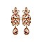 Leaf Cluster Marquise Gem with Dangly Teardrop Earrings SLEY4934