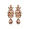 Leaf Cluster Marquise Gem with Dangly Teardrop Earrings SLEY4934