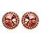 FASHIONABLE ROUND STONE POST EARRING SLEY8061