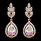 FASHIONABLE ELEGANT LEAF TEARDROP STONE EARRING SLEY8432