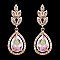 FASHIONABLE ELEGANT LEAF TEARDROP STONE EARRING SLEY8432