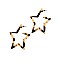 Celluloid Leopard Print Star Earring  MH-FE3906