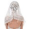 Lace Veil Mantilla Cathedral Head Covering with Bobby Pins