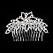 Elegant Style Floral Rhinestone Hair Comb SLHCH2215