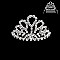 ELEGANT PETITE RHINESTONE COMB TIARA SLHCW113