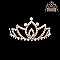 DAINTY LOTUS RHINESTONE COMB TIARA SLHCW117