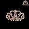 REGAL QUEENIE RHINESTONE COMB TIARA SLHCW119