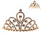 STYLISH MINI RHINESTONE HAIR SIDE COMB SLHCY8753