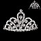 STYLISH MINI RHINESTONE HAIR SIDE COMB SLHCY8753