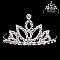 STYLISH RHINESTONE MINI TIARA COMB SLHCY8755