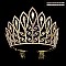 ELEGANT RHINESTONE BIG CROWN SLHHTH2233