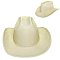 FASHIONABLE GLITTERING COWBOY HAT