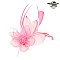 Trendy Feathered Mesh Flower W/leaf