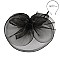 Classy Fascinator with Ruffle Mesh W/feather SLHTH1299