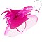 Classy Flower Headband Mesh W/feather