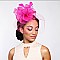 Classy Fascinator with Ruffle Mesh With Center Flower, Feathers And Veil Hair Clip And Headband D...