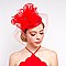 Classy Round Lace Fascinator W/loopy SLHTH2108