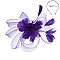 Classy  Headband/pin with Loopy Mesh W/feather SLHTH2123