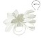 Classy  Headband/pin with Loopy Mesh W/feather SLHTH2123