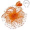 Fashionable Dotted Ruffle Mesh Floral Feather Fascinator