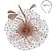 Fashionable Dotted Ruffle Mesh Floral Feather Fascinator