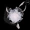 Classy Fascinator with Small Rose Mesh Feather