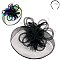 Classy Fascinator with 2 Rose Mesh Loop Lightup