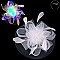 Lights Feathers and Loops Design Fascinator MEZ2198