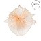 Classy Fascinator with Mesh Veil Floral Feather SLHTH2263