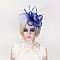 Classy Fascinator With Gem Mesh Floral Feather