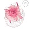 FEATHER ROSE DOUBLE VEIL LIFTED FASCINATOR SINAMAY TOP