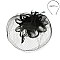 FEATHERED MESH VEIL LOOP FLOWER FASCINATOR