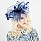 LOOP RIBBON AND FEATHER MESH FASCINATOR