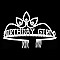 LOVELY CRYSTAL RHINESTONE BIRTHDAY GIRL CROWN COMB TIARA