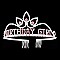 LOVELY CRYSTAL RHINESTONE BIRTHDAY GIRL CROWN COMB TIARA