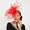 POLKA DOT VEIL MESH FASCINATOR
