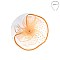 ROSE AND POLKA DOT VEIL FASCINATOR